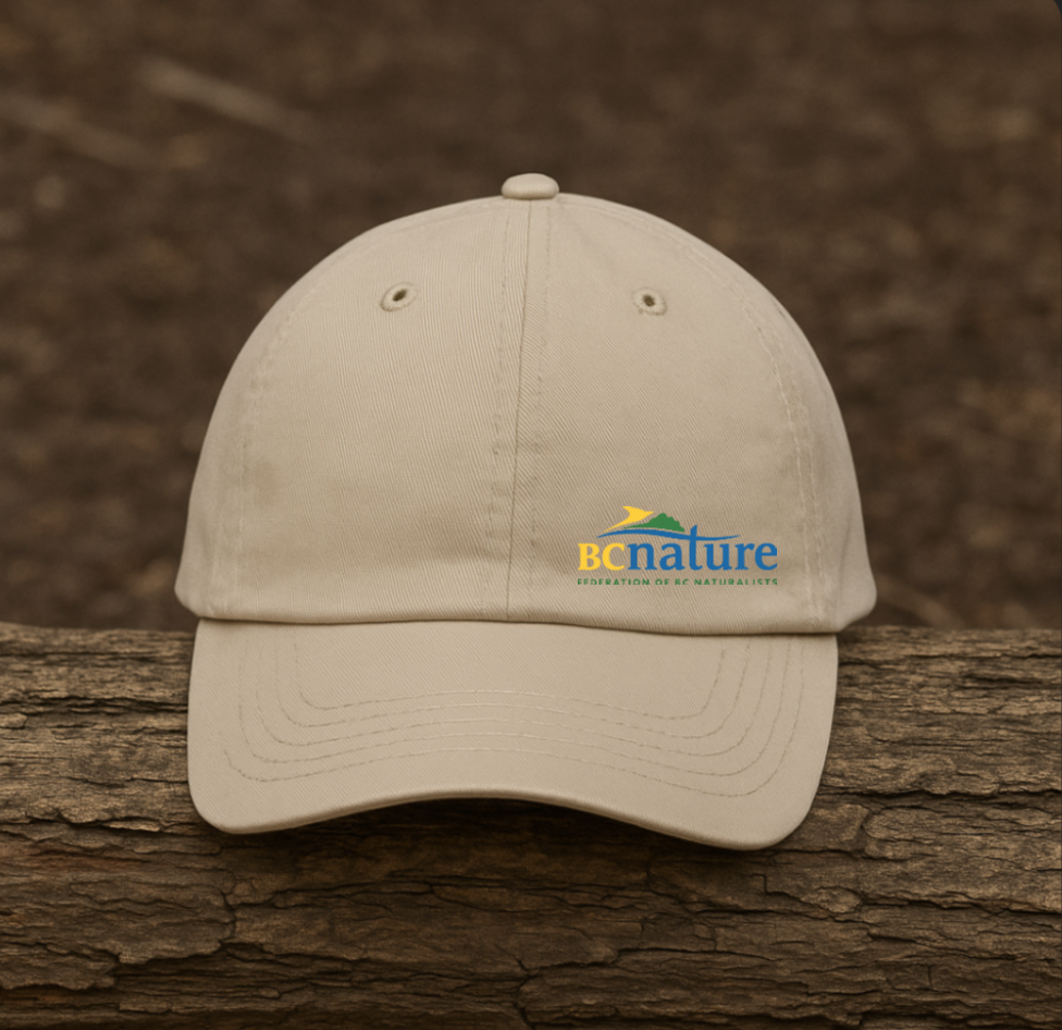 BC NATURE HAT