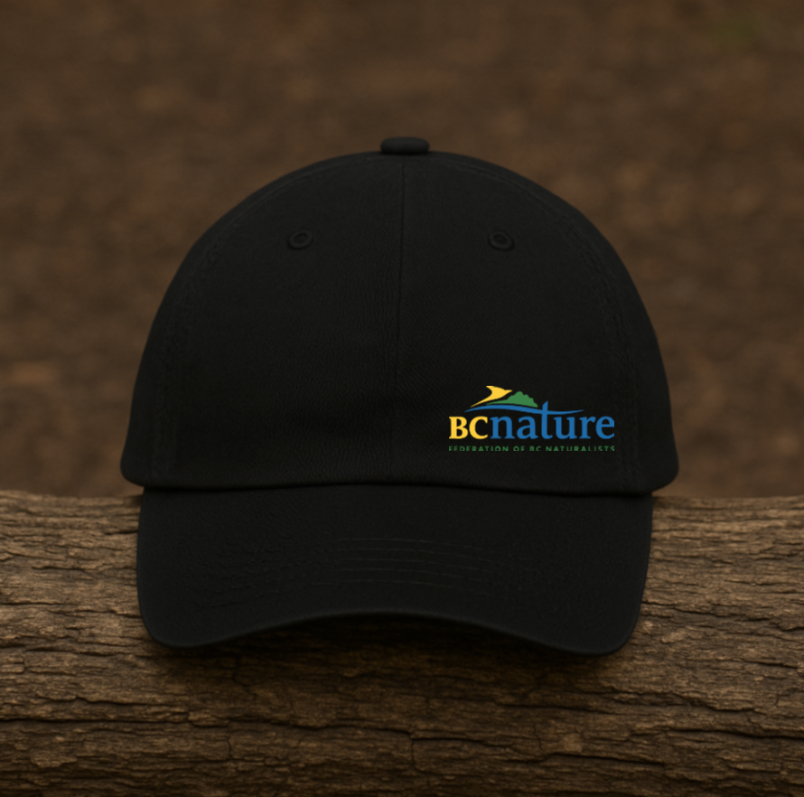 BC NATURE HAT