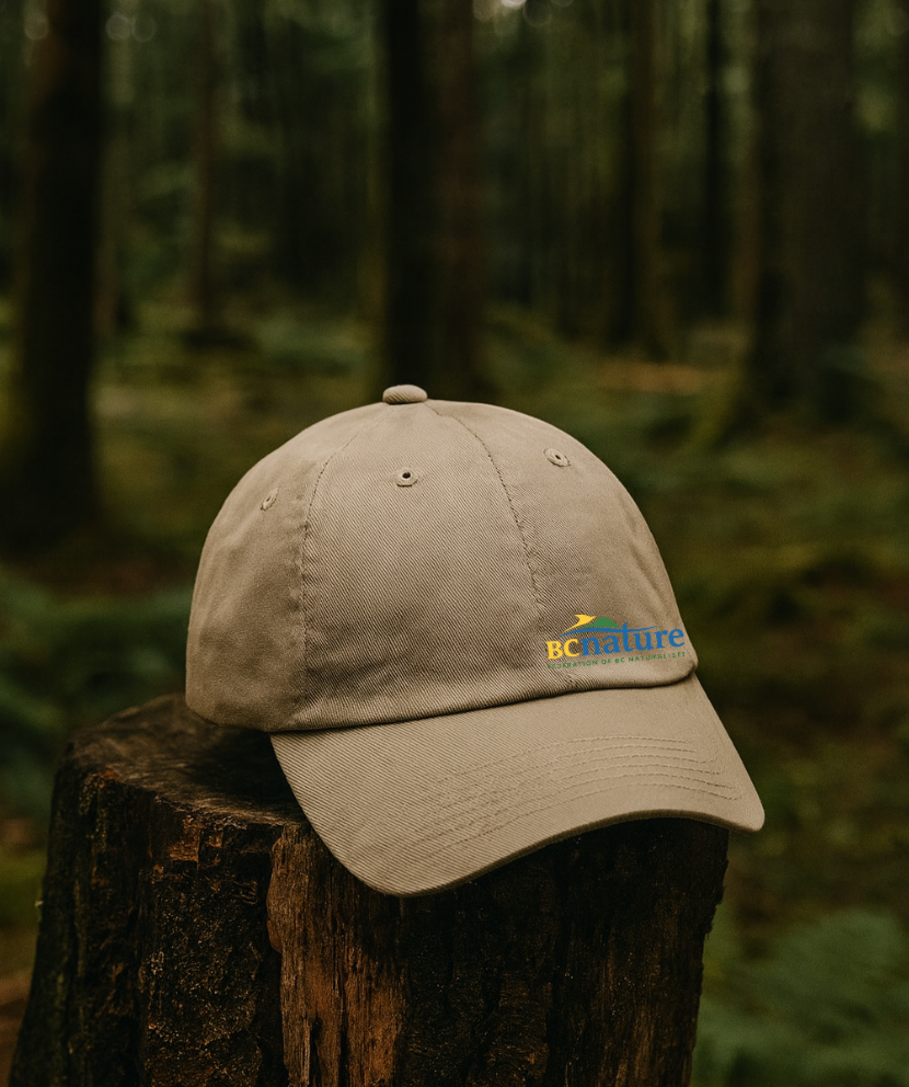 BC NATURE HAT
