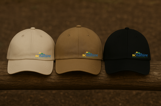 BC NATURE HAT